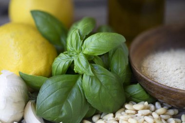Fesleğen, çam fıstığı, sarımsak, limon ve beslenme Maya: vegan pesto için malzemeler