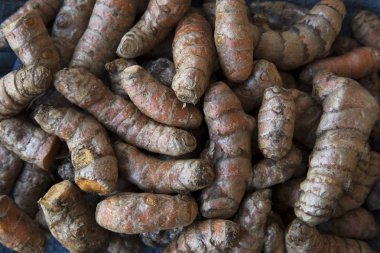 Zerdeçal kök gıda arka plan