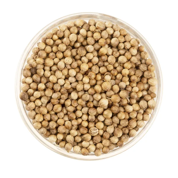 Glass Bowl Full Coriander Seeds Isolated White Background Viewed Direclty — Stock Photo, Image
