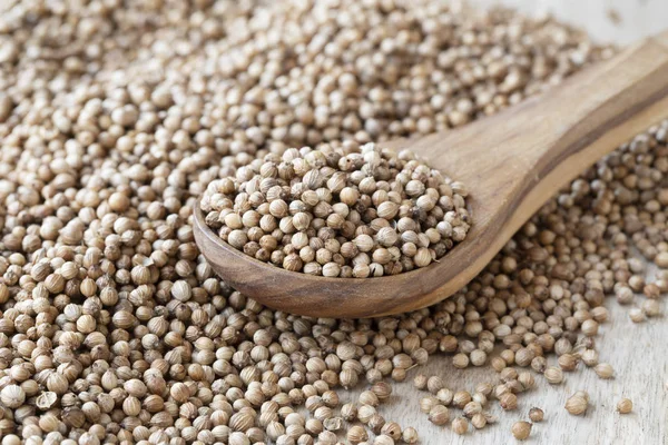 Wooden Spoon Full Whole Coriander Seeds — Stock Photo, Image