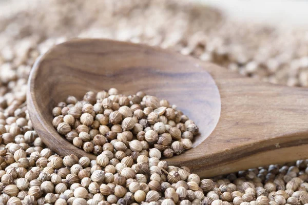 Wooden Spoon Full Whole Coriander Seeds — Stock Photo, Image