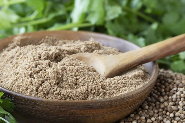 Cuenco Cilantro Polvo Con Cuchara Madera Rodeado Hojas Cilantro Semillas — Foto de Stock