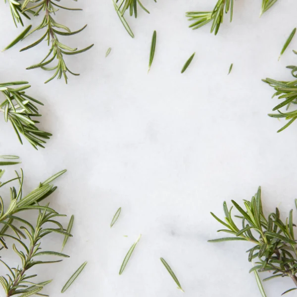 Rosemary Sprigs Marble Surface Copy Space — Stock Photo, Image