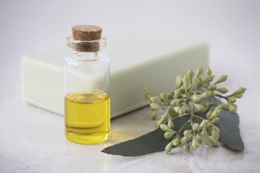 Yağ, sabun ve Okaliptüs yaprakları