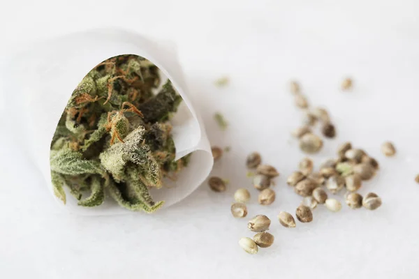 Marihuana voor het persen — Stockfoto