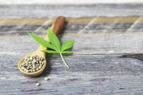 Cannabis zaden en blad — Stockfoto