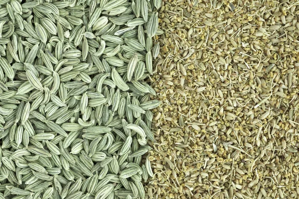 Fennel Seeds and Pollen — Stock Photo, Image