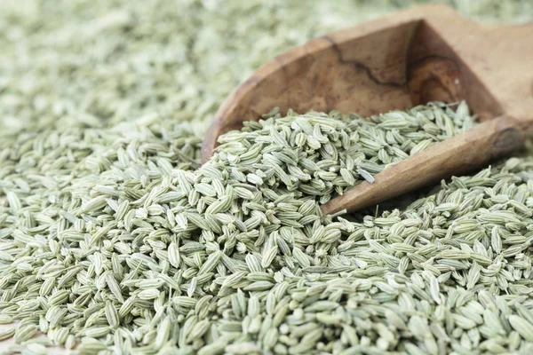 Scoop of Fennel Seeds — Stock Photo, Image