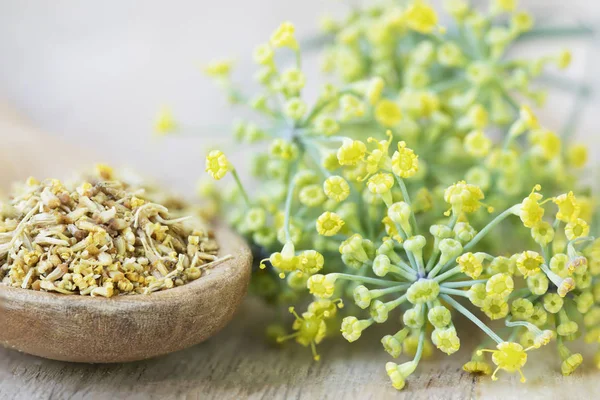 Fennel Pollen and Flowers