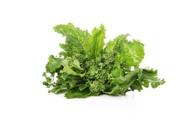 Broccoli Rabe Isolated clipart
