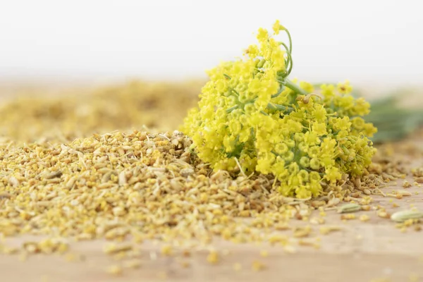 Fennel Flowers with Pollen