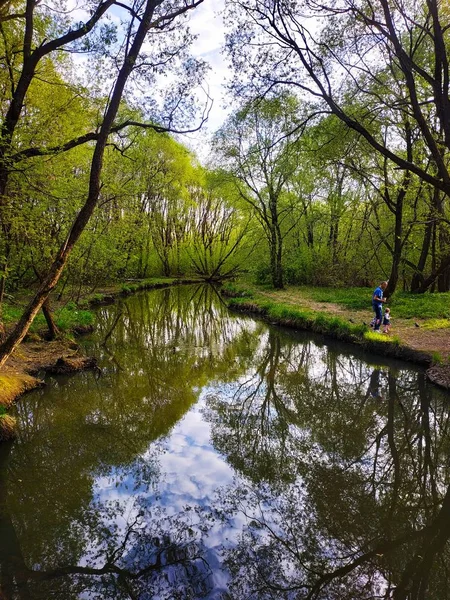 green city park with river