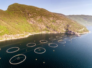 Balık Çiftliği Norveç'te fotoğraf. Mavi deniz ve dağlar bitki örtüsü ile. Hava atış. Üstten görünüm.