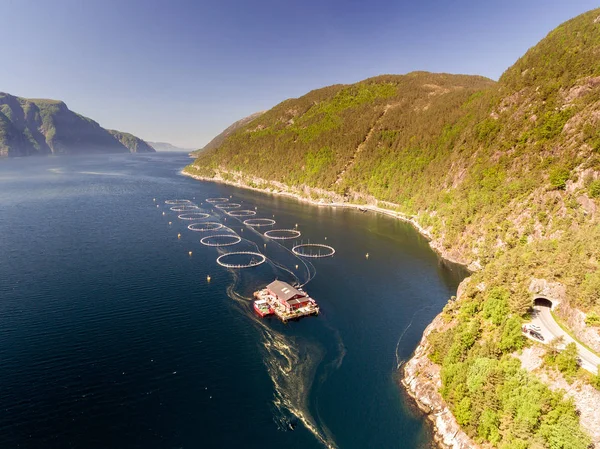 Balık Çiftliği Norveç'te fotoğraf. Mavi deniz ve dağlar bitki örtüsü ile. Hava atış. Üstten görünüm.
