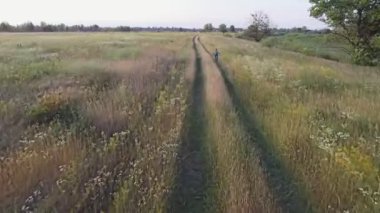 Çocuk binicilik bisiklet havadan görüntüleri. Kırsal yol. Yaz tarım alanında. Ukraynalı doğa
