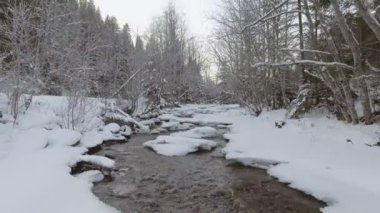 Kışın nehrin üzerinden uçuyorum.