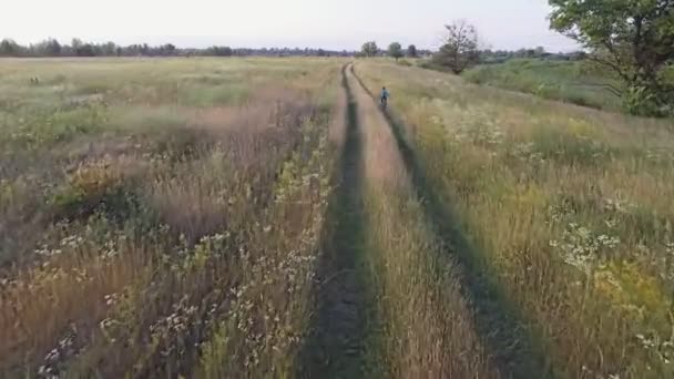 Un filmato aereo di un ragazzo in bicicletta. Strada di campagna. Campo agricolo in estate. Natura ucraina — Video Stock
