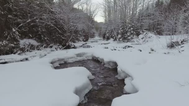 AERIAL: Vuelo sobre el río en invierno — Vídeo de stock