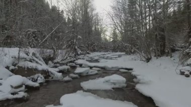 Kışın nehrin üzerinden uçuyorum.