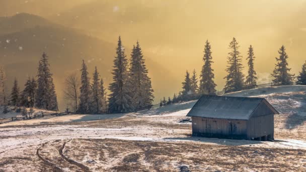 Schneefall in einem Winterpark mit schneebedeckten Bäumen — Stockvideo