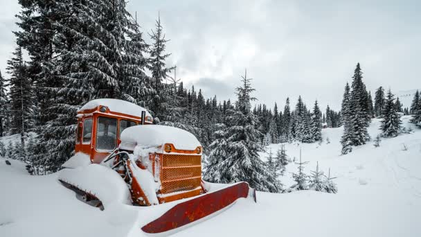 Падаючий сніг в зимовому парку з покритими снігом деревами — стокове відео