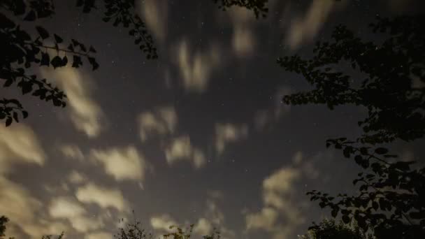 Céu estrelas girando espaço astrofotografia lapso de tempo — Vídeo de Stock