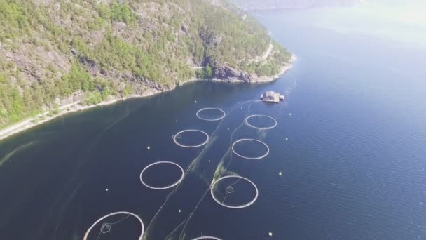 Film o hodowli ryb w Norwegii. Błękitne morze i góry z roślinnością. Zdjęcia lotnicze. Widok z góry. — Wideo stockowe