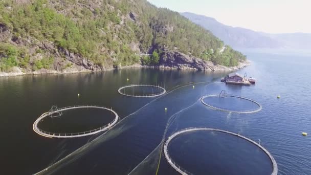 Video av fiskodlingen i Norge. Blå havet och bergen med vegetation. Antenn skott. Ovanifrån. — Stockvideo
