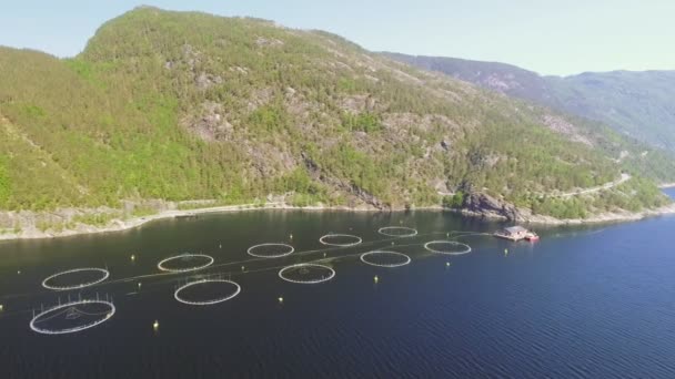 Video z rybí farmu v Norsku. Modré moře a hory s vegetací. Letecký snímek. Pohled shora.
