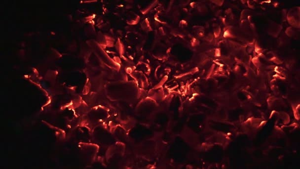 Verbranding van steenkool. Close up van rode hete kolen in het fornuis gloeide. — Stockvideo