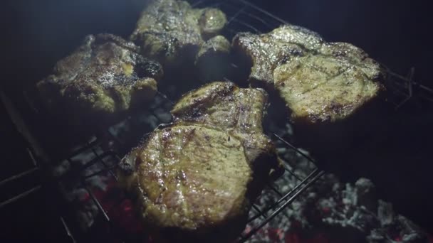 Carne arrosto sul barbecue fuoco sulla griglia. Street food, da vicino . — Video Stock