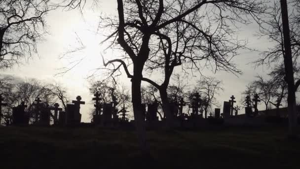 Halloween bakgrund. Gamla kyrkogården med antika korsar vid solnedgången — Stockvideo
