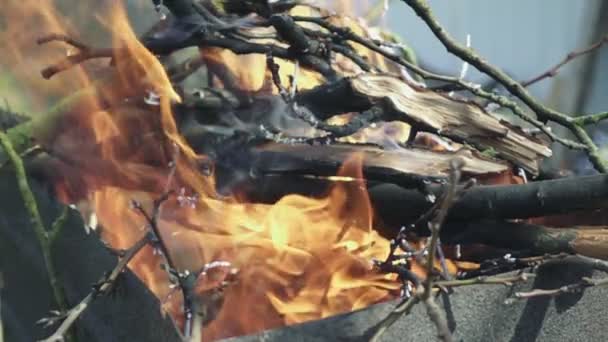 Feu ardent, au ralenti 