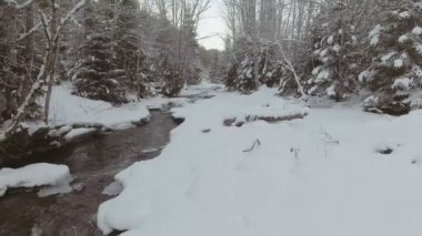 Kışın nehrin üzerinden uçuyorum.