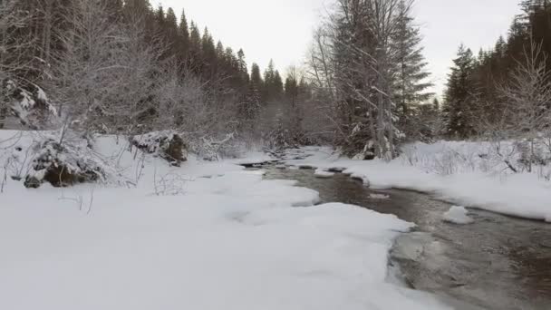 AERIAL: Flyg över floden på vintern — Stockvideo