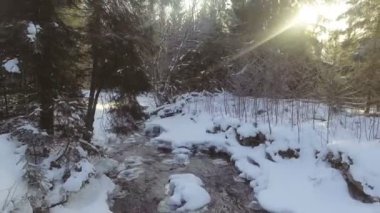 Kışın nehrin üzerinden uçuyorum.