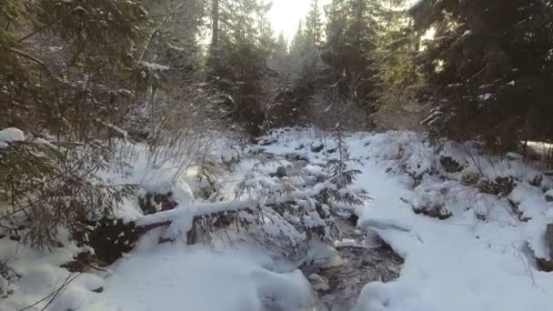 AERIAL: Voo sobre o rio no inverno — Vídeo de Stock