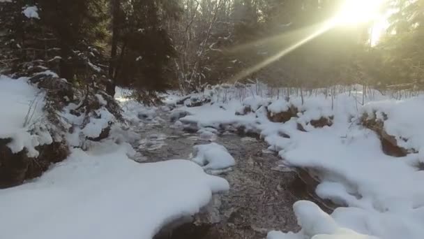 AERIAL: Vuelo sobre el río en invierno — Vídeos de Stock