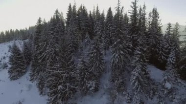 Anteni: Doğada kış