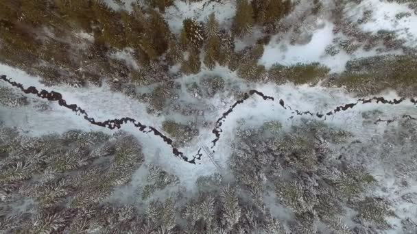 Imagens 4K. Voo acima da floresta de inverno no norte, vista aérea superior . — Vídeo de Stock