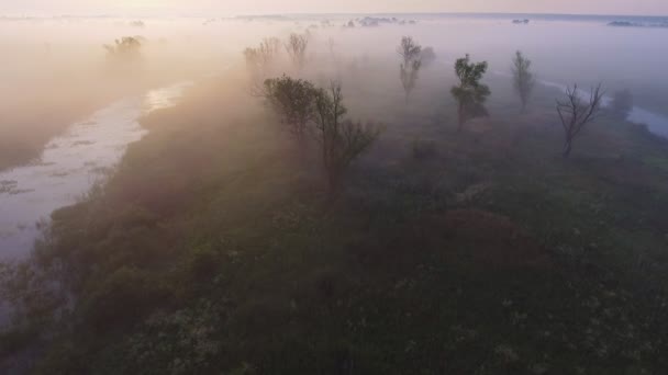 4k 空中影像视频雾晨。飞过 Desna 河。日出时间。乌克兰基辅地区. — 图库视频影像