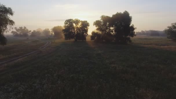 Dimmig soluppgång i landsbygden. Antenn drönare sköt. — Stockvideo