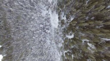 4 bin. Kuzeydeki kış ormanı üzerinde uçuş, gökyüzü manzaralı..