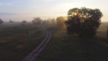 Sisli yol. Nehri Vadisi erken sabah sis bulutları bükülmüş. sarı turuncu gündoğumu ufuk. Hava güzel Ukrayna doğa manzara robot. Romantik sinema ruh hali