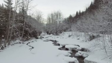 Kışın nehrin üzerinden uçuyorum.