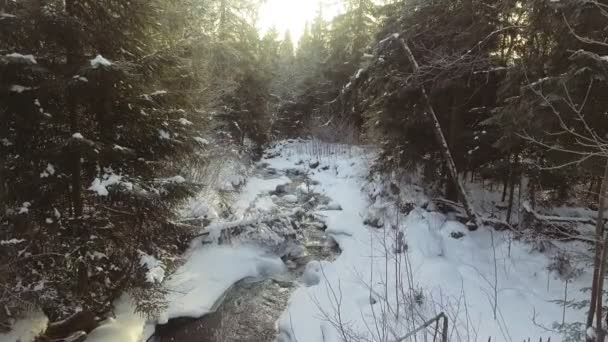 AERIËL: Vlucht over de rivier in de winter — Stockvideo