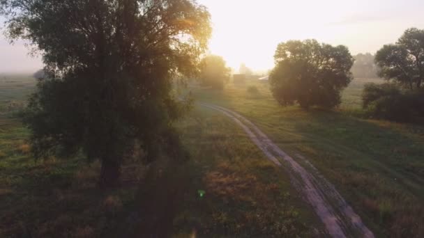 Foggy sunrise in countryside. Aerial drone shot. — Stock Video