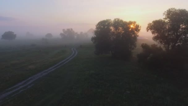 Amanecer brumoso en el campo. Disparo aéreo con drones . — Vídeos de Stock