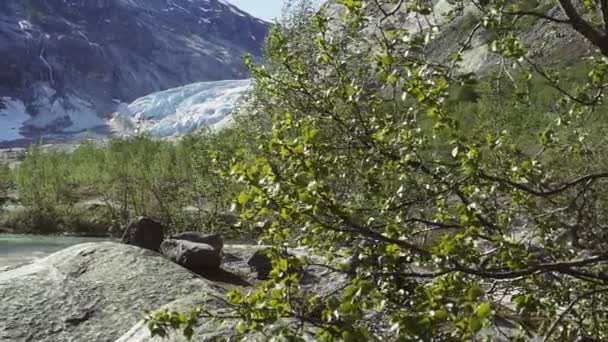 阳光明媚的一天, 挪威 Nigardsvatnet Jostedalsbreen 国家公园 Nigardsbreen 冰川附近的鸟瞰图 — 图库视频影像