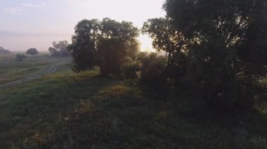 Sisli yol. Nehri Vadisi erken sabah sis bulutları bükülmüş. sarı turuncu gündoğumu ufuk. Hava güzel Ukrayna doğa manzara robot. Romantik sinema ruh hali